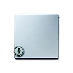 ABB 2CKA001710A3789 (2118 GKSL-33)