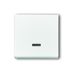ABB 2CKA006599A3010 (6543-84-101-500)