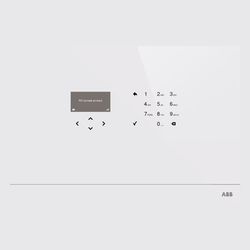 ABB 2CSY245181R0004 (SAS-W2.1E)