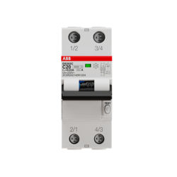 ABB 2CSR252140R1204 (DS202C C20 A30)