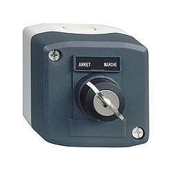 Schneider Electric XALD142
