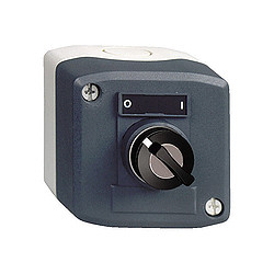 Schneider Electric XALD144