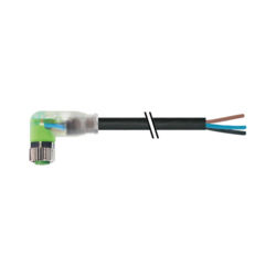 Murrelektronik 7000-08121-6501500