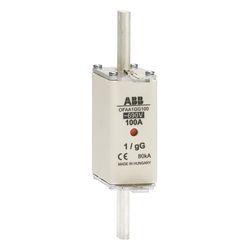 ABB 1SCA022700R9950 (OFAA1GG100)