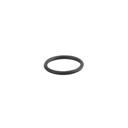 ifm E30438 (O-RG 26,00X 3,00/EPDM/70/SW)