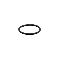 ifm E40239 (O-RG 47,22X3,53/FKM 2 PIECES)
