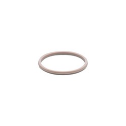 ifm E30124 (PEEK SEAL)