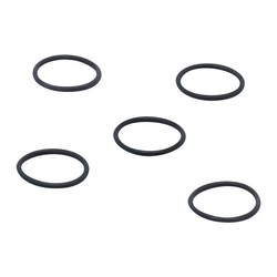 ifm E30054 (O-RG 24,00x2,00/EPDM 5 PIECE)