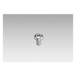 Baumer Self-tapping grounding screw (Z 119.100) (11177167)