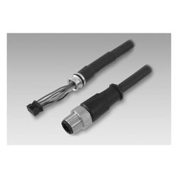 Baumer Connection cable with coupling M12, 8-pin, 1 m (11079113)