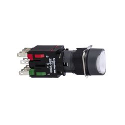 Schneider Electric XB6AW1B5B
