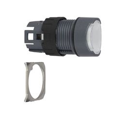 Schneider Electric ZB6AF1