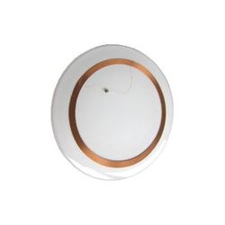 Pepperl+Fuchs RFID Transponder IPC11-50CD 10pcs (261642)