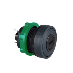 Schneider Electric XB5DT1S