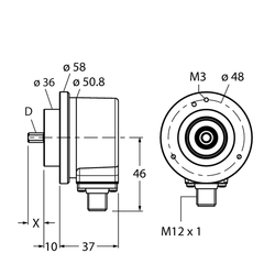 Turck REI-E-113T12C-2B2500-H1181 (100011578)