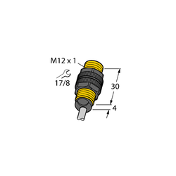 Turck BI2-P12-Y1 (10093)