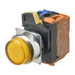 Omron A22NL-RPA-TYA-G100-YD (661946)