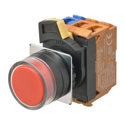 Omron A22NN-BGA-NRA-G100-NN (662437)