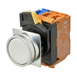 Omron A22NN-MNA-NWA-G100-NN (662330)