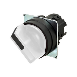 Omron A22NZ-2BL-TWA (663813)