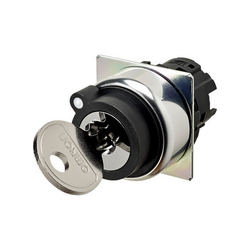 Omron A22NZ-2RM-01CA (663834)