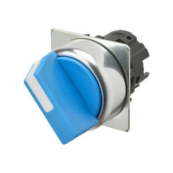Omron A22NZ-2RM-NAA (664866)