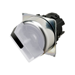 Omron A22NZ-2RM-TWA (663811)