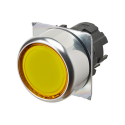 Omron A22NZ-RNM-TYA (664986)