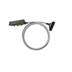 Weidmüller PAC-S300-HE40-V0-2M (7789778020)