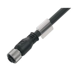 Weidmüller SAIL-M12BG-4S30U (1812543000)