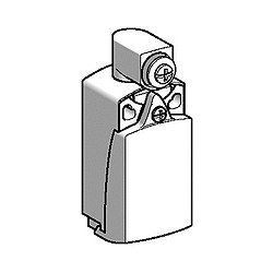 Telemecanique XCKD2501G11