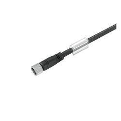 Weidmüller SAIL-M8BG-3-2.0U (9457450200)