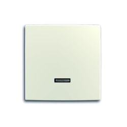 ABB 2CKA006599A2995 (6543-96-507)